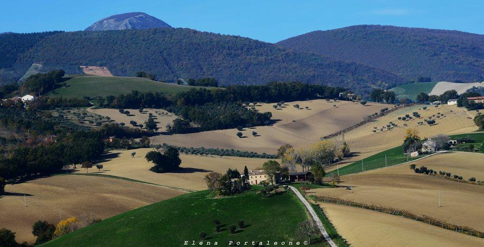 Casale Il Cerqueto Bed & Breakfast San Severino Marche Luaran gambar
