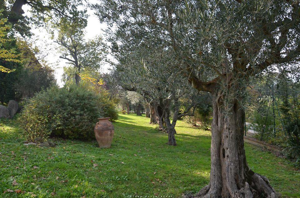 Casale Il Cerqueto Bed & Breakfast San Severino Marche Luaran gambar