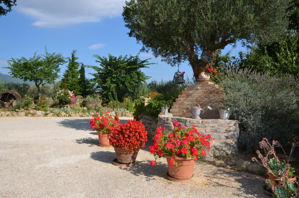 Casale Il Cerqueto Bed & Breakfast San Severino Marche Luaran gambar