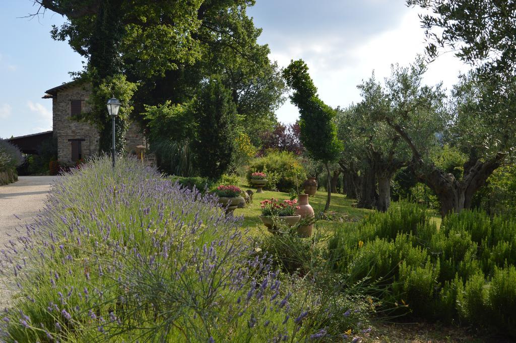 Casale Il Cerqueto Bed & Breakfast San Severino Marche Luaran gambar