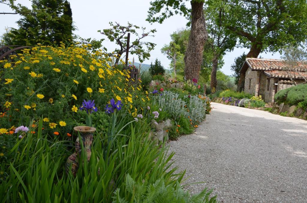 Casale Il Cerqueto Bed & Breakfast San Severino Marche Luaran gambar