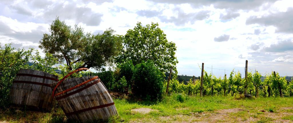 Casale Il Cerqueto Bed & Breakfast San Severino Marche Luaran gambar
