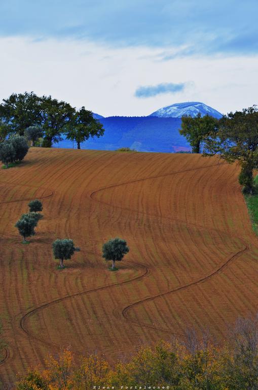 Casale Il Cerqueto Bed & Breakfast San Severino Marche Luaran gambar