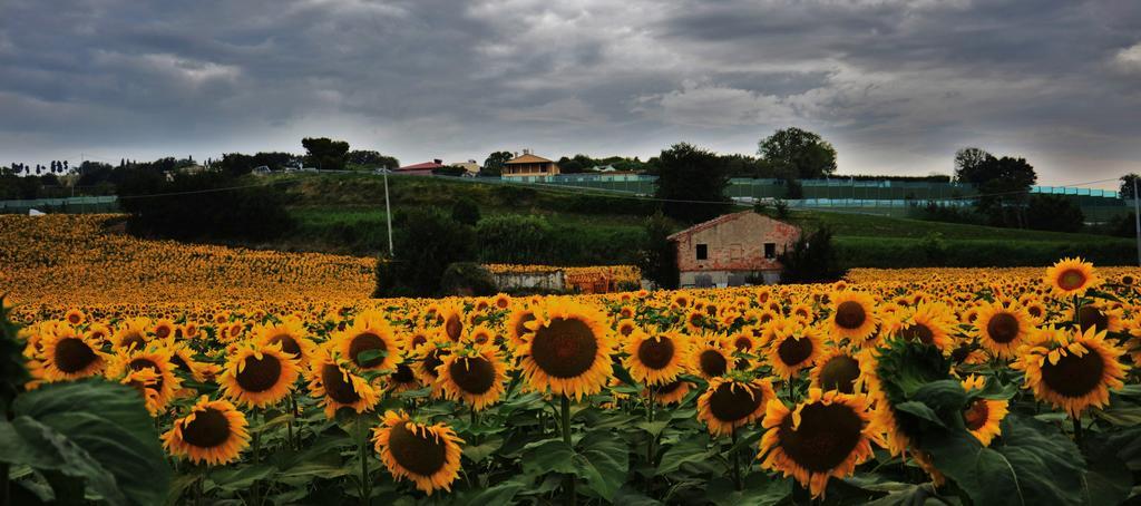 Casale Il Cerqueto Bed & Breakfast San Severino Marche Luaran gambar