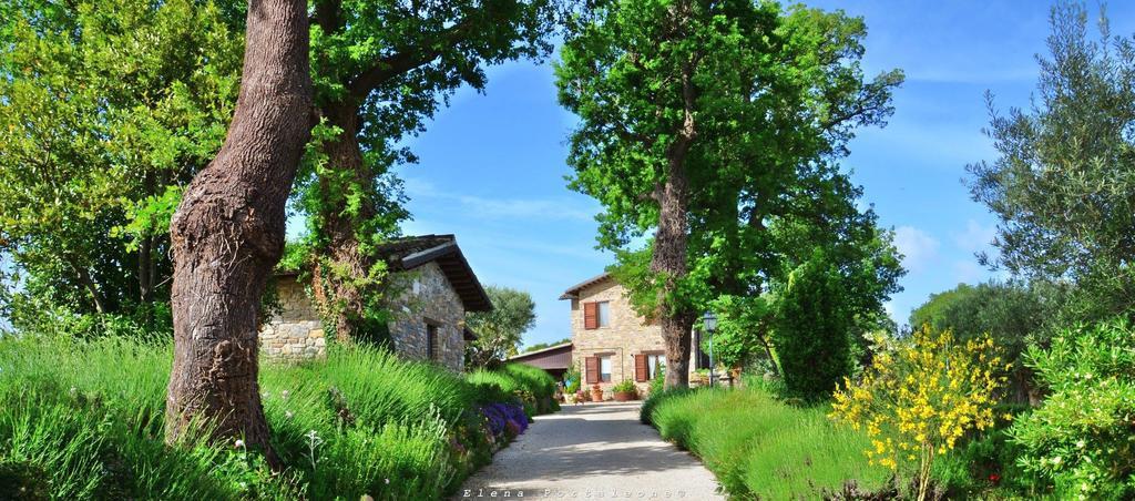 Casale Il Cerqueto Bed & Breakfast San Severino Marche Luaran gambar