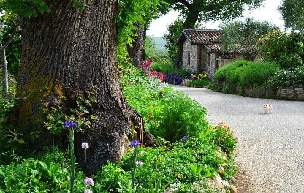 Casale Il Cerqueto Bed & Breakfast San Severino Marche Luaran gambar